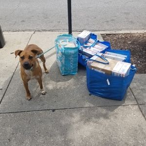 ROXY the star of my show